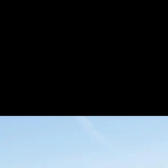 Meet your Posher, Peyton - Picture 1 of 1